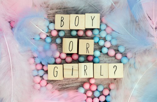 Comment organiser une gender reveal ?