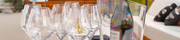 Peut-on boire du vin avec un verre en plastique ?