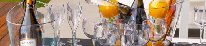 Peut-on boire du vin avec un verre en plastique ?