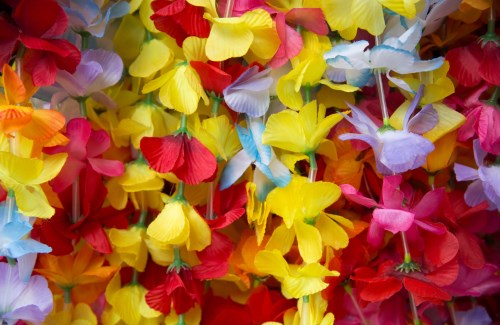 Les origines du collier hawaïen.