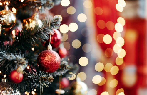 Comment choisir son sapin de Noël ?