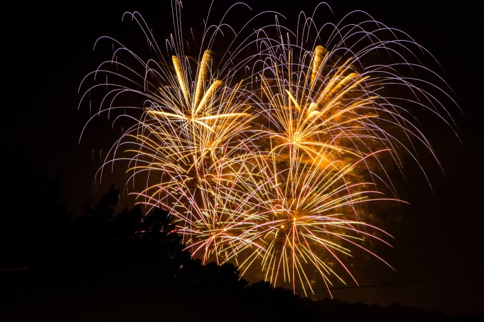 Quel feu d’artifice choisir ?