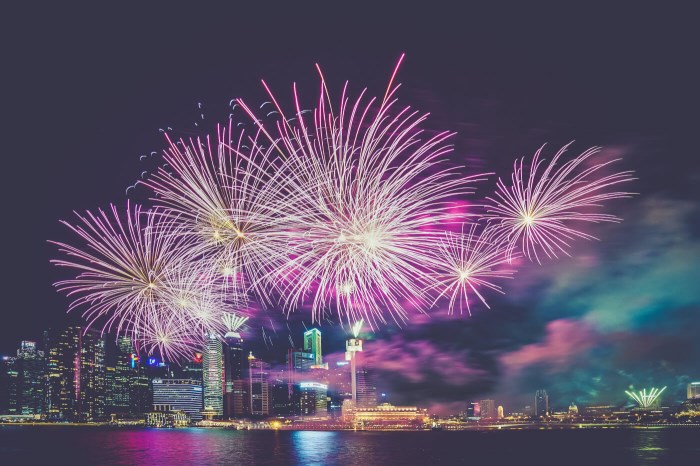 5 villes où vous pourrez voir les plus beaux feux d'artifice du monde pour  le Nouvel An 