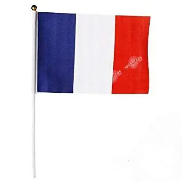Drapeau France avec baguette 30x45cm