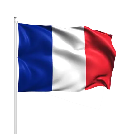 BATON LUMINEUX LED 3 FONCTIONS 46 CM SUPPORTER DRAPEAU FRANCE BLEU