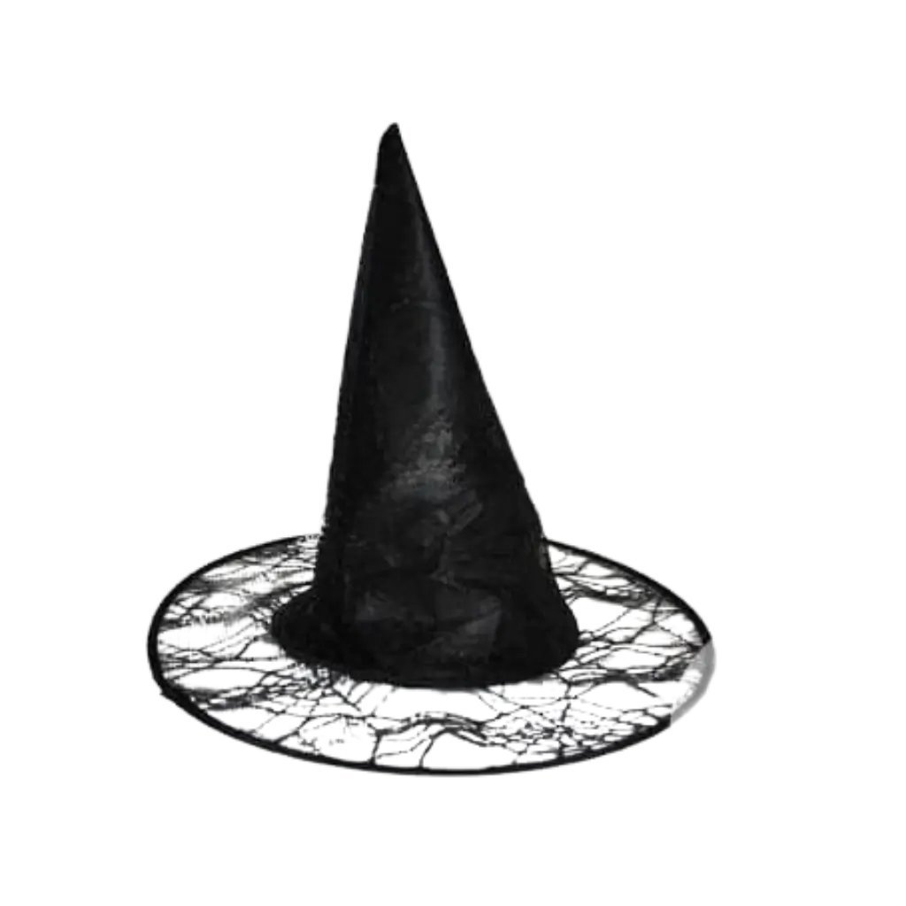 Chapeau sorcière avec toile d&#39;araignée