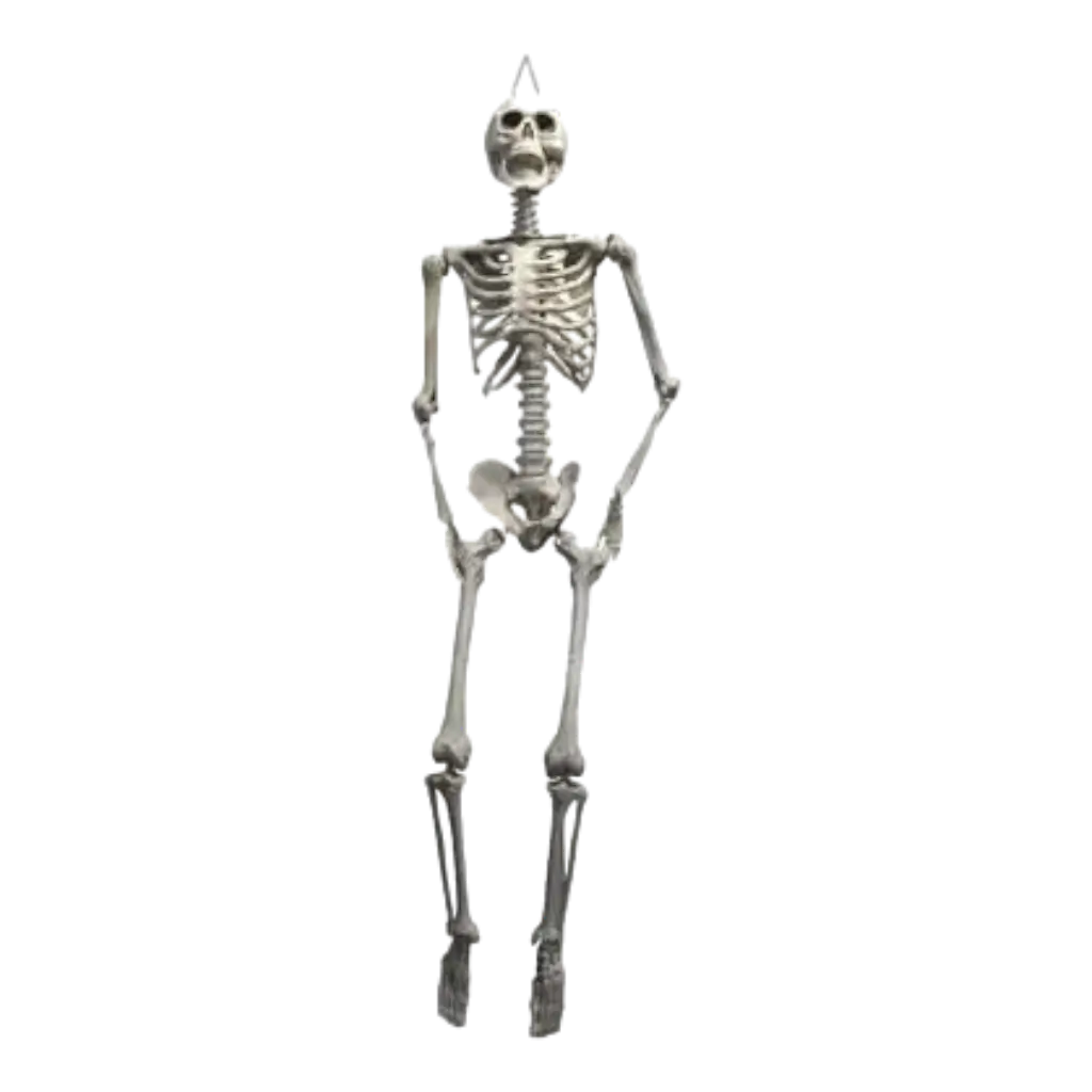 Squelette Géant à suspendre 175cm