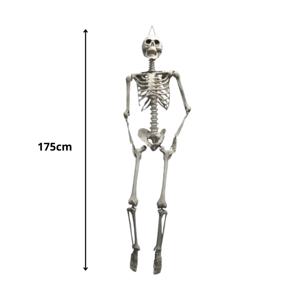 Squelette Géant à suspendre 175cm