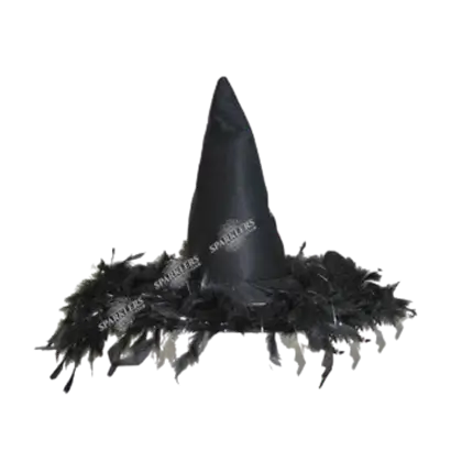 Chapeau sorcière à plumes