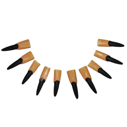 Lot de 10 doigts en Latex