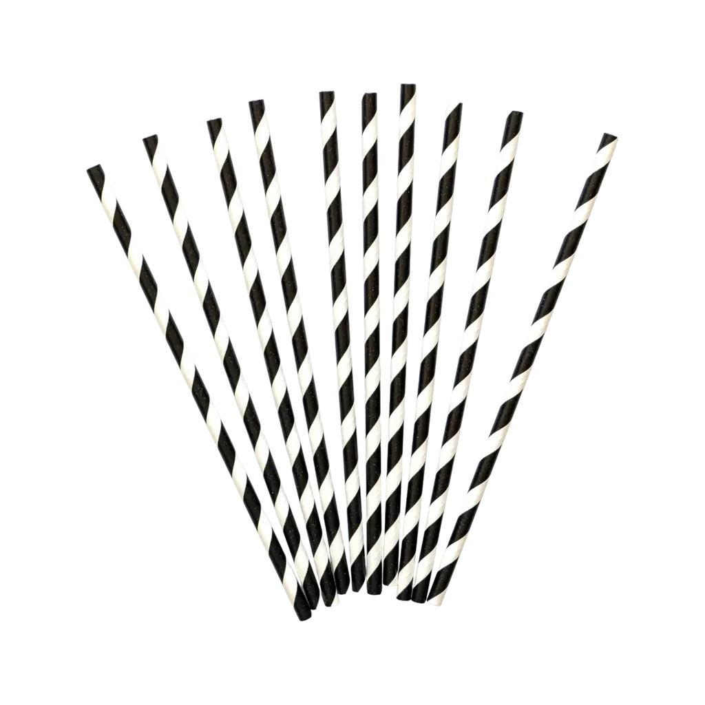 Lot de 10 pailles en papiers noires et blanches 