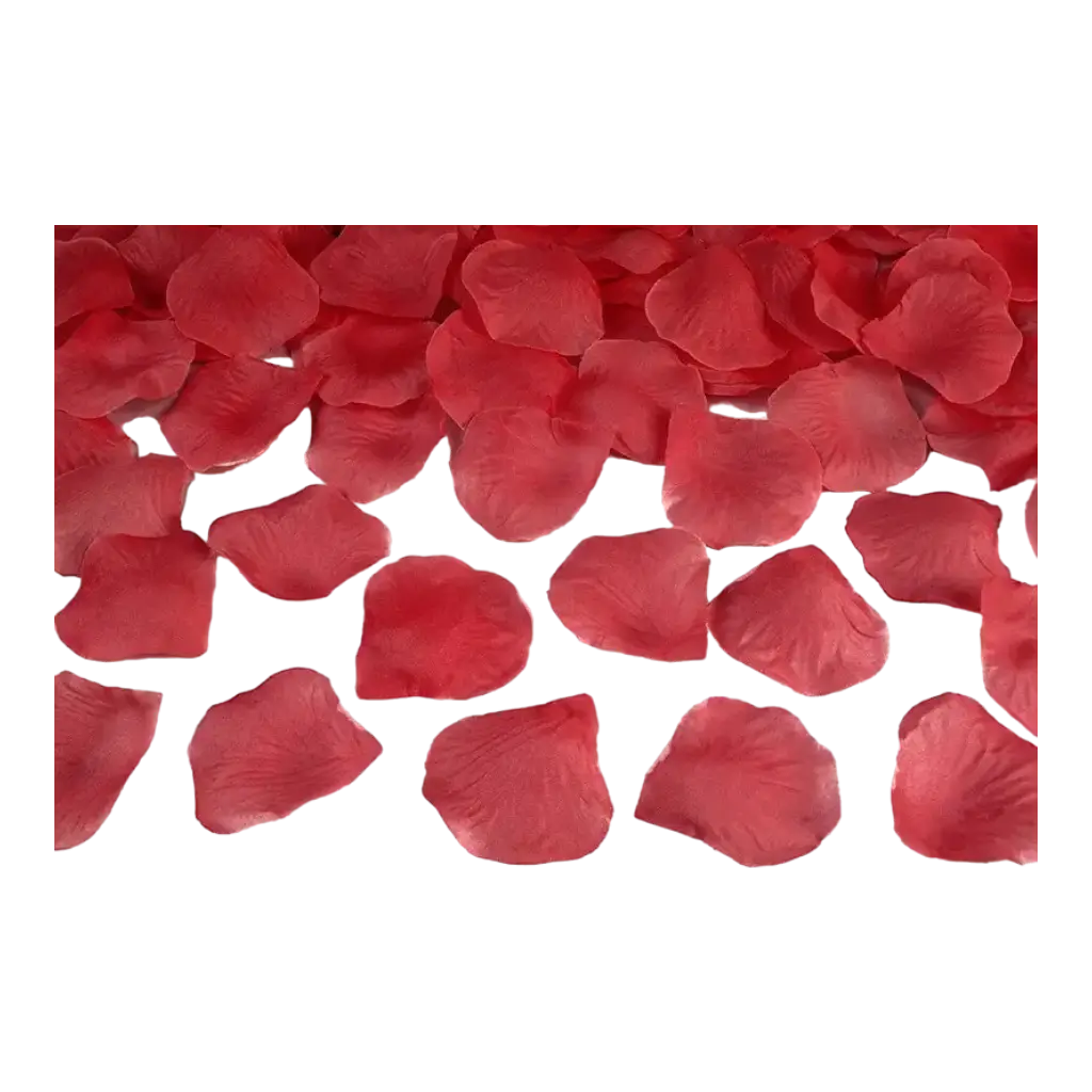 100 pétales de roses rouges