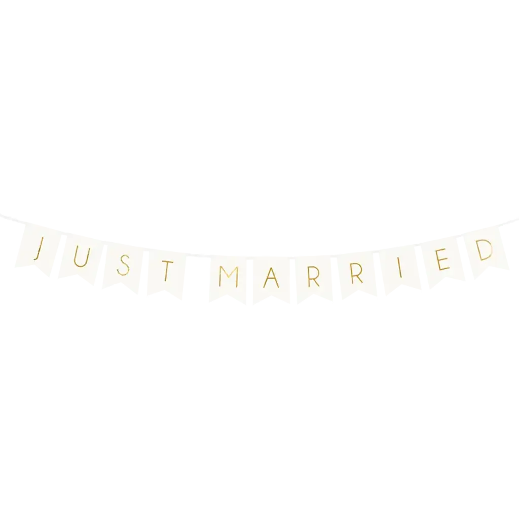 Banner Just Married blanc 