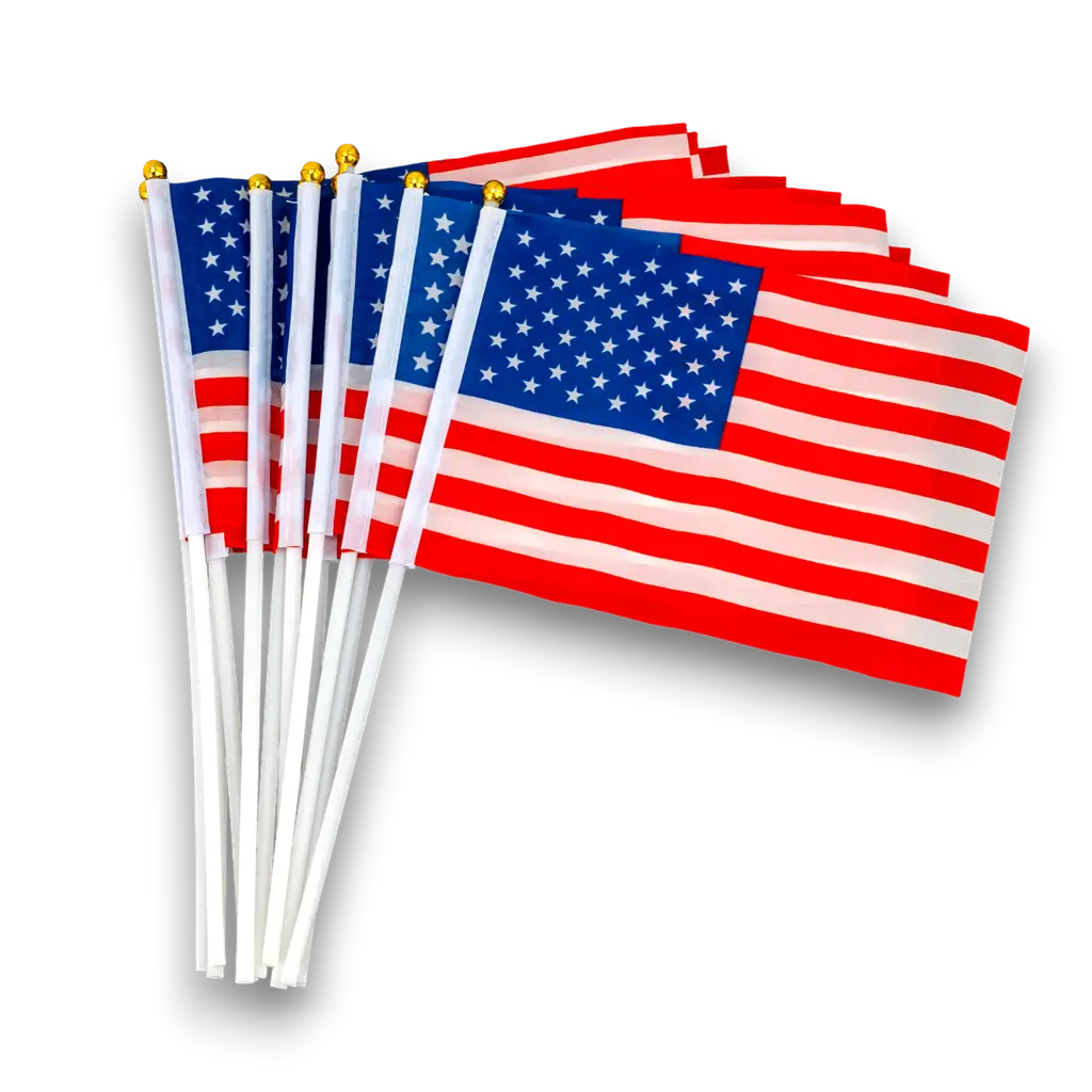 Lot de 12 Drapeaux USA 14x21cm