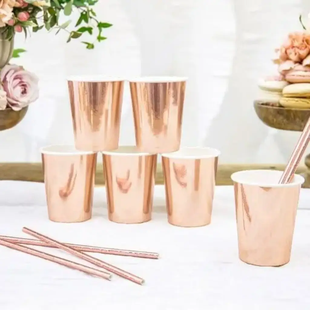 Lot de 6 verres en papier Or Rose 