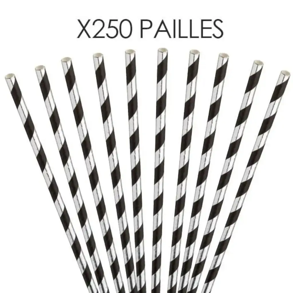 Paille papier rayée Argent/Noire 20cm /ø6mm (250 pcs)