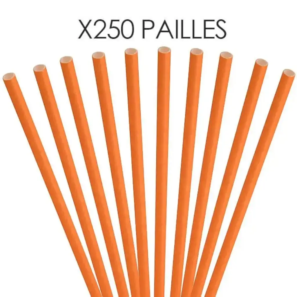 Paille papier orange 20cm /ø6mm (250 pcs)