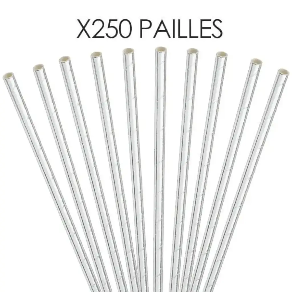 Paille papier Argent/Silver 20cm /ø6mm (250 pcs)