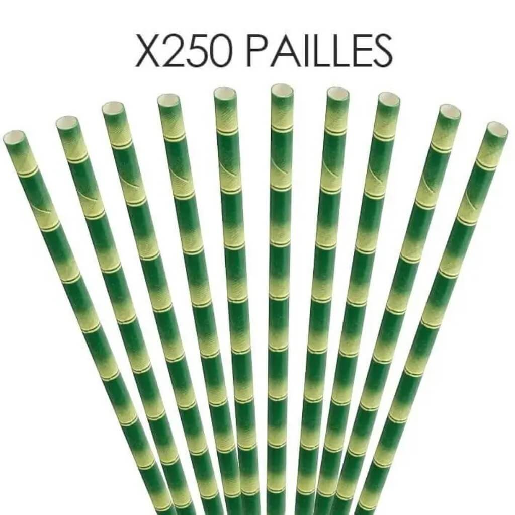 Paille papier bambou 20cm /ø6mm (250 pcs)