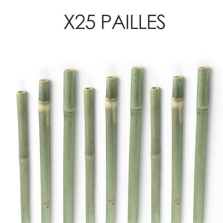 8 pailles réutilisables en bambou