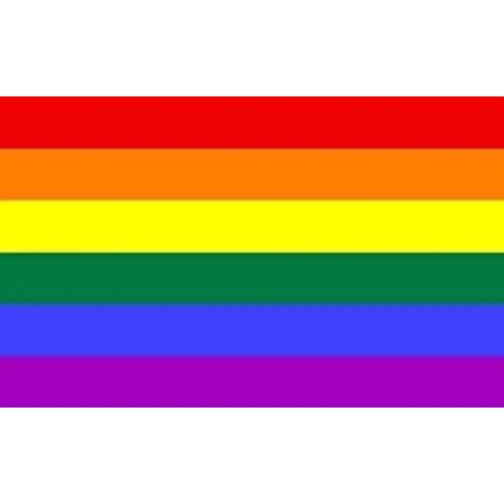 Drapeau Arc en Ciel LGBT+ 90x150cm