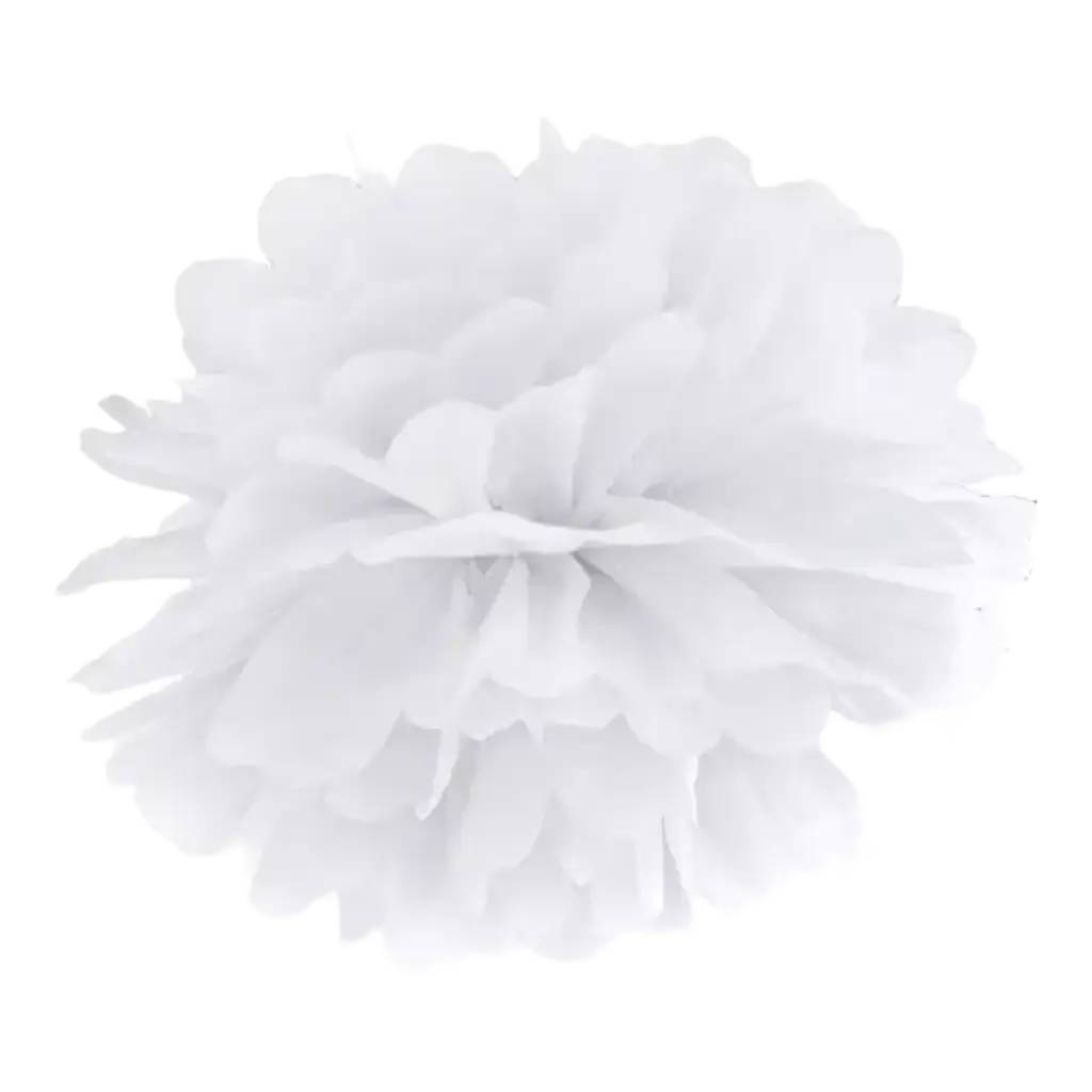 Pompon en papier blanc 25cm 