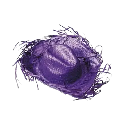 Chapeau Cowboy Caraïbe Violet 