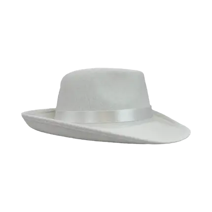 Chapeau de cowboy disco argenté scintillant avec paillettes, pour garçons,  filles, fête, club, bar de danse et cadeaux : : Mode