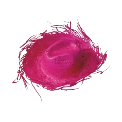 Chapeau Cowboy Caraïbe Rose