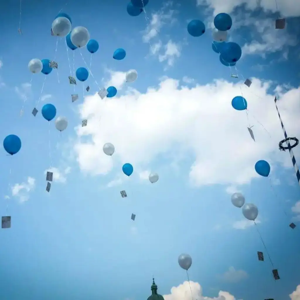 Filet pour lâcher de ballons (500 Ballons) 