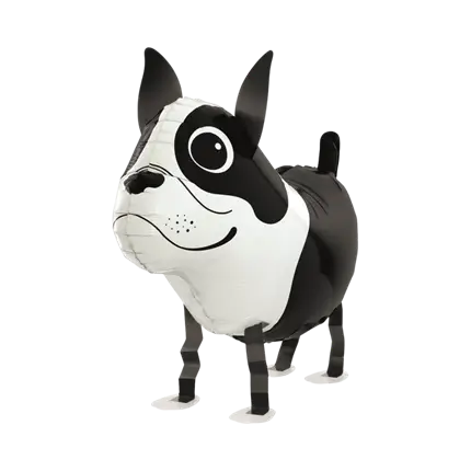 Ballon Chien Boston Terrier 48cm
