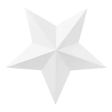 Décoration étoiles blanches (6 pièces) 
