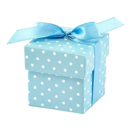 Boîte en papier à pois It's a Boy (10 pièces), 