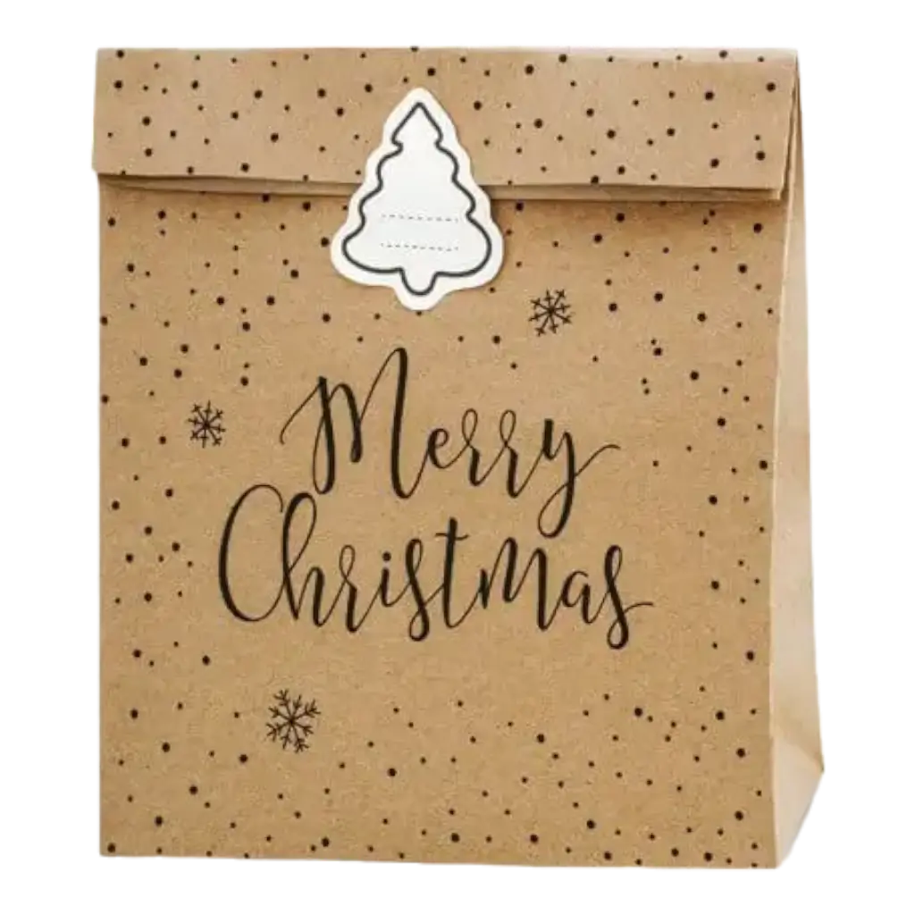 Sac cadeau papier kraft Merry Christmas (3 pièces)