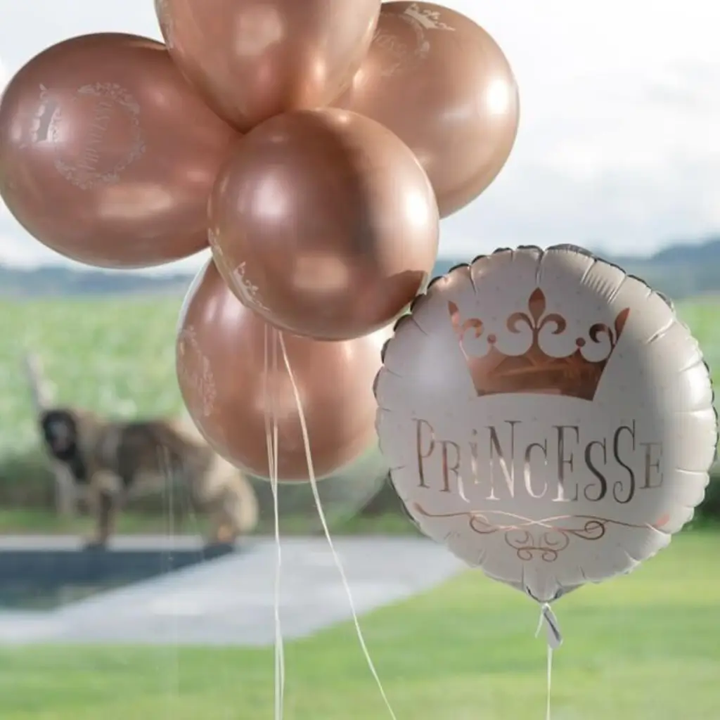 Ballon Princesse Or Rose ø 45cm