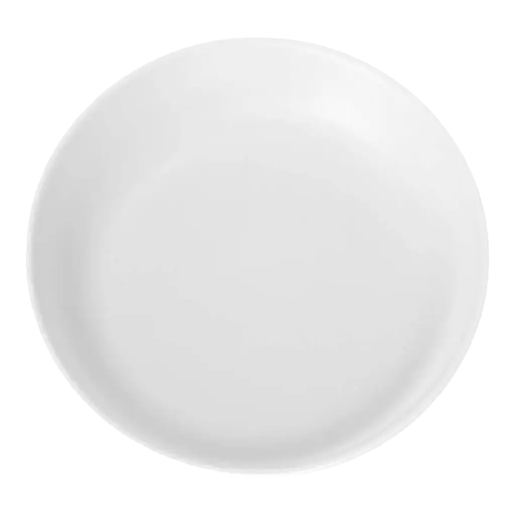 Assiette Plate Incassable Blanche ø 27,5cm