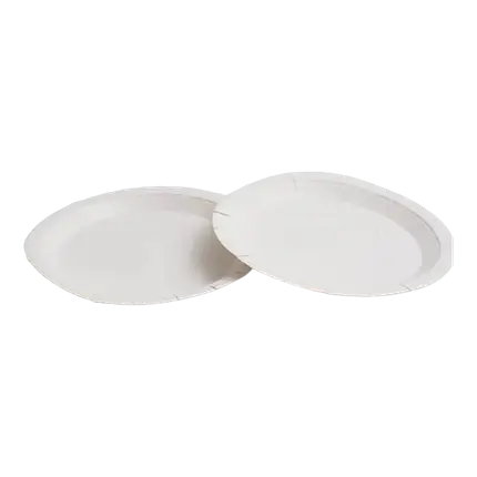 Assiette Carton Blanche ø 22cm (Lot de 50)