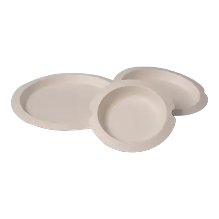 Assiette Blanche canne à Sucre ø24cm (Lot de 12)