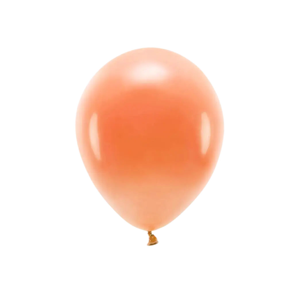 Lot de 10 Ballons de Baudruche Biodégradable Orange 