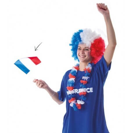 Lot de 12 Drapeaux France avec Baguette 14x21cm 