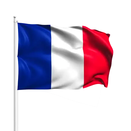 Lot de 12 Drapeaux France avec Baguette 14x21cm 