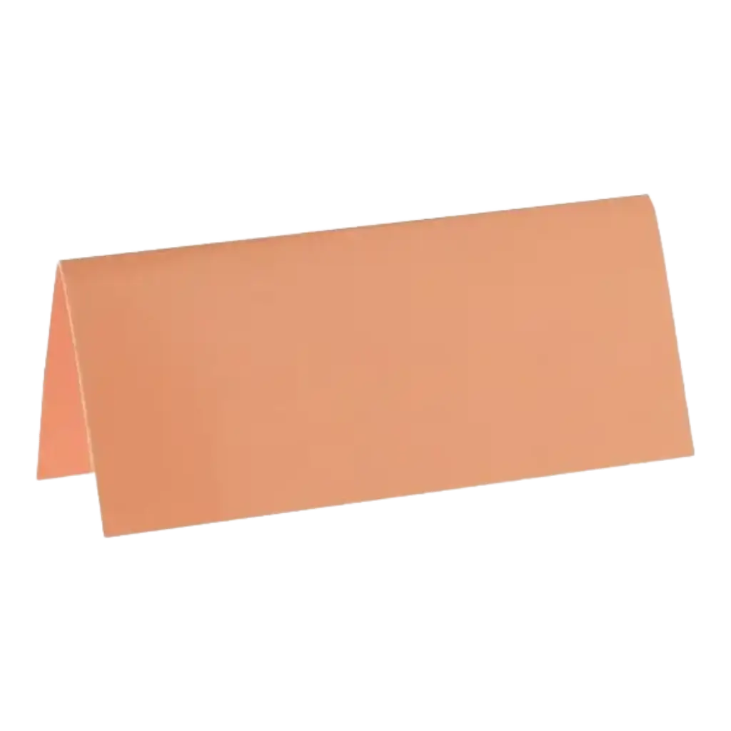 Marque-place rectangle Corail - Lot de 10