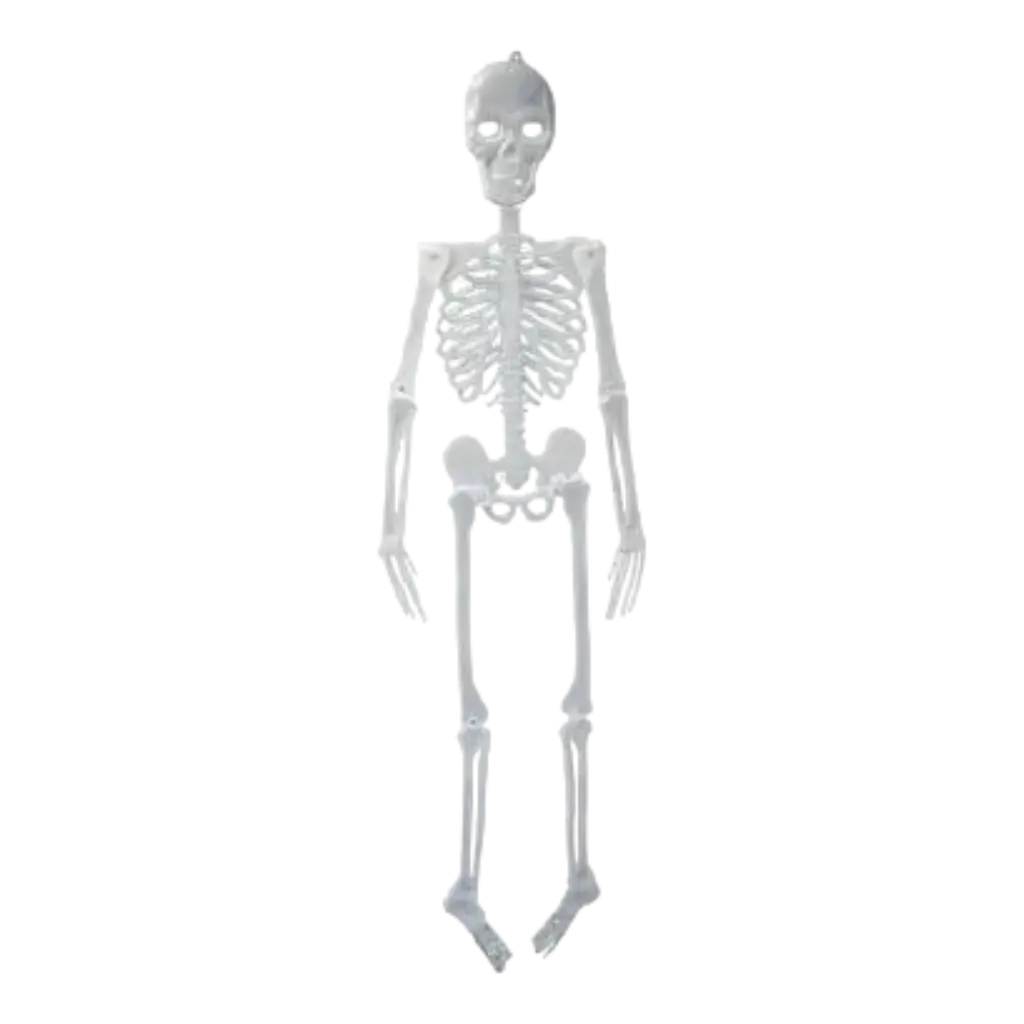 Squelette phosphorescent géant - 150cm