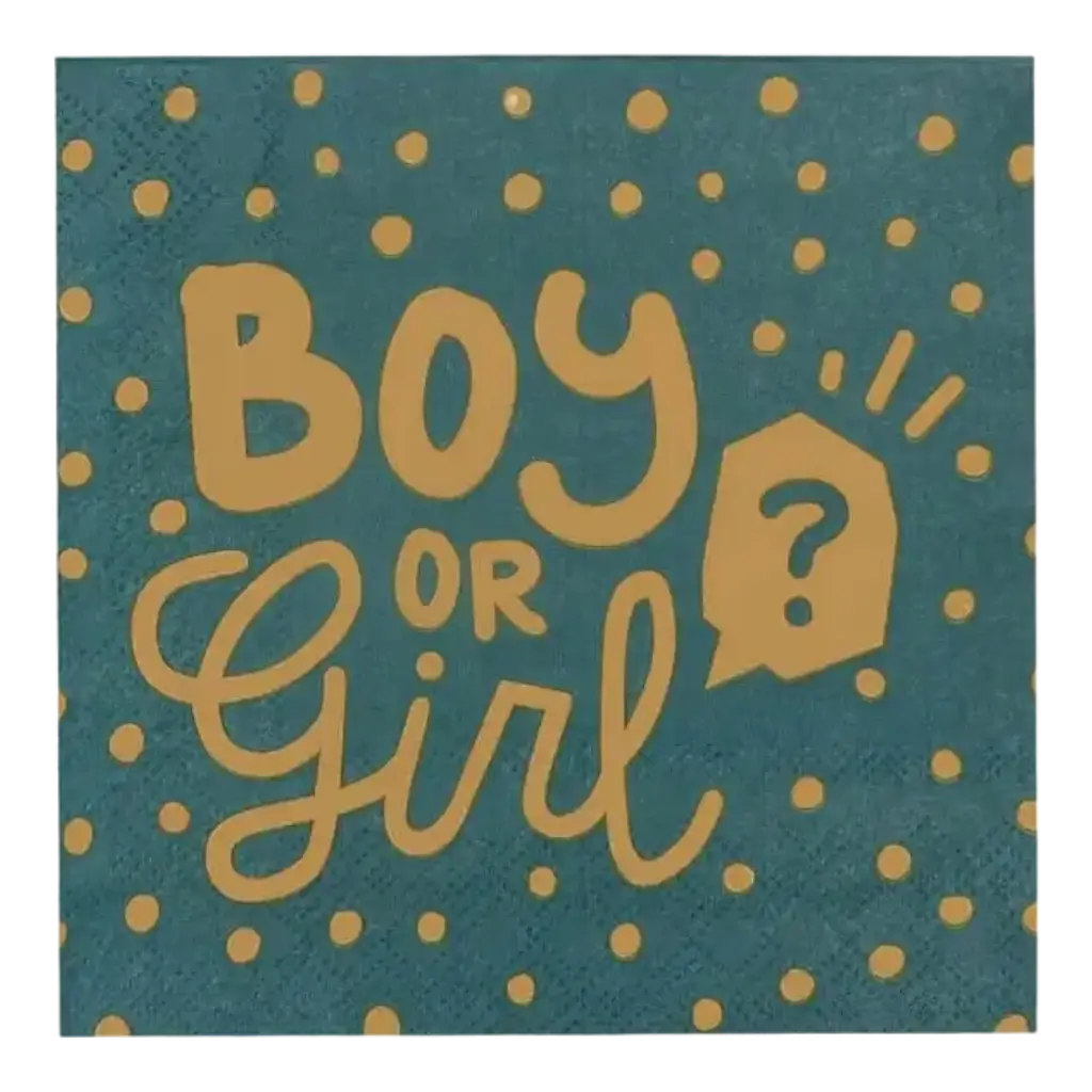 Serviettes en papier "Boy or Girl?" noires et dorées (x20)