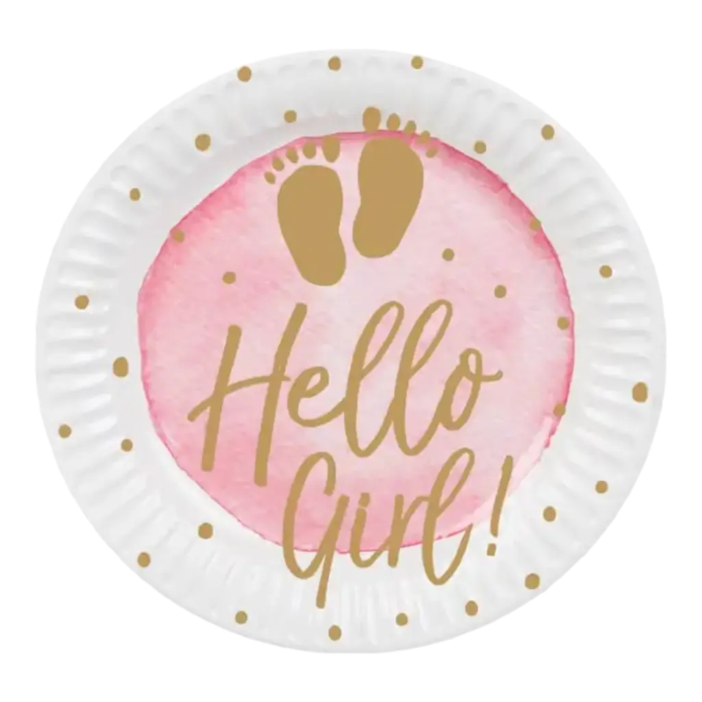 Assiettes en carton "Hello Girl" roses (lot de 10)