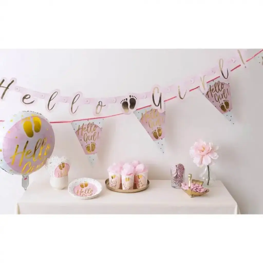 Assiettes en carton Hello Girl roses (lot de 10)
