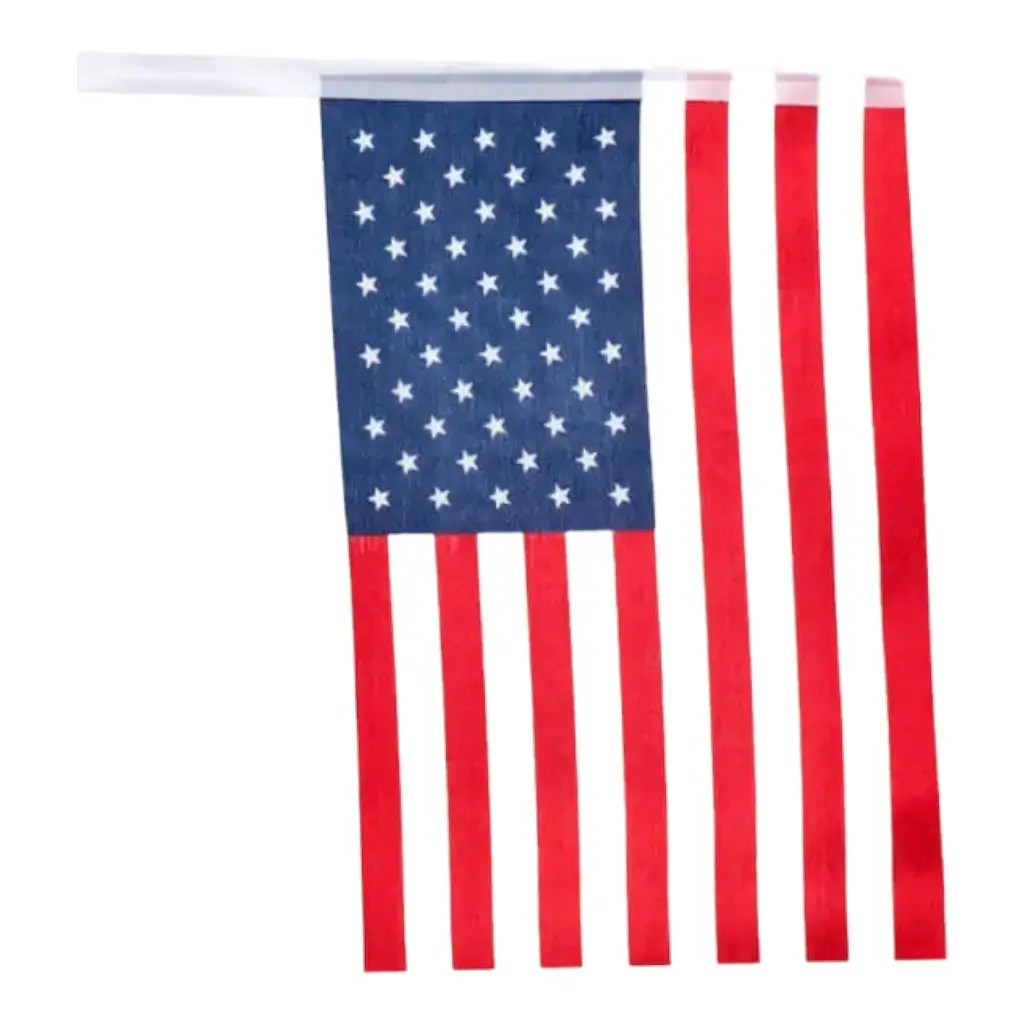 Guirlande de petits drapeaux des USA