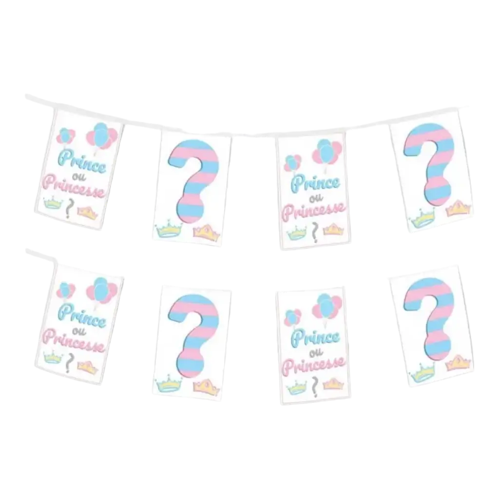 Guirlande fanions en papier Prince ou Princesse ? - 5m