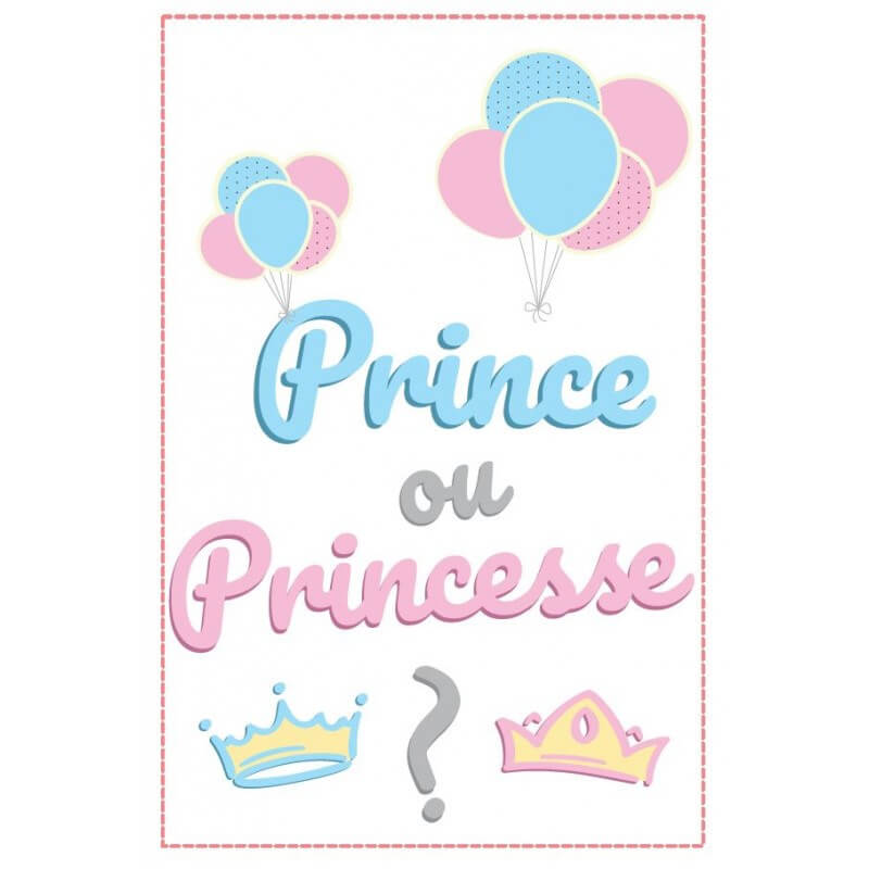 Guirlande fanions en papier "Prince ou Princesse ?" - 5m