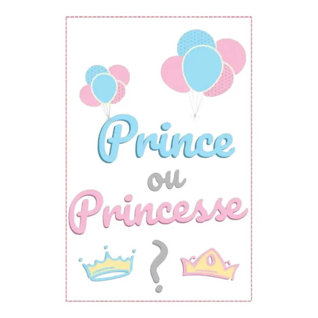 Guirlande fanions en papier "Prince ou Princesse ?" - 5m